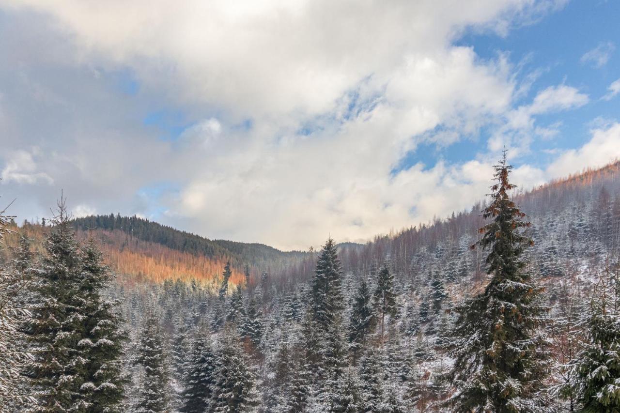 Konopka Forest Home & Spa Bukovel Esterno foto