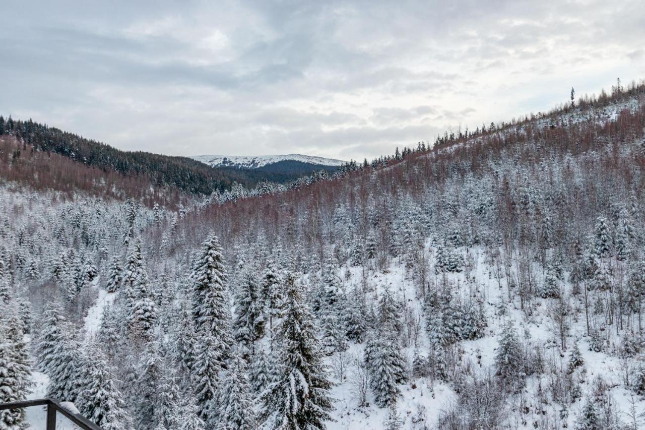 Konopka Forest Home & Spa Bukovel Esterno foto